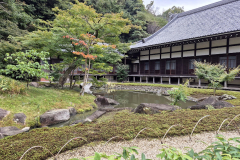 ret_IMG-20241112-WA0018