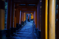 ret_IMG-20241115-WA0006