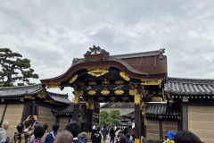 ret_IMG-20241116-WA0000