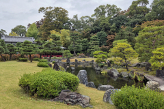 ret_IMG-20241116-WA0002