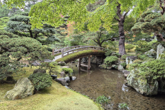 ret_IMG-20241116-WA0006