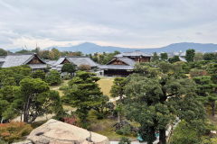 ret_IMG-20241116-WA0012