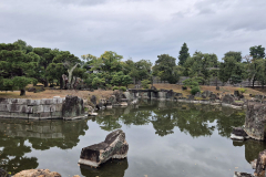 ret_IMG-20241116-WA0013