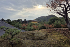 ret_IMG-20241117-WA0002