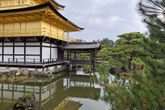 ret_IMG-20241117-WA0003