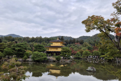 ret_IMG-20241117-WA0005