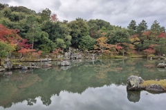 ret_IMG-20241117-WA0008