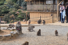 ret_IMG-20241117-WA0011