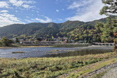 ret_IMG-20241117-WA0016