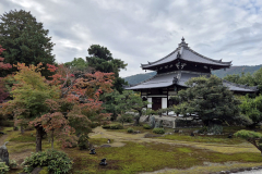 ret_IMG-20241117-WA0018