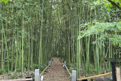 ret_IMG-20241117-WA0019