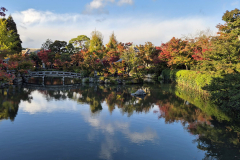 ret_IMG-20241118-WA0004