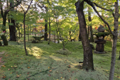 ret_IMG-20241118-WA0005