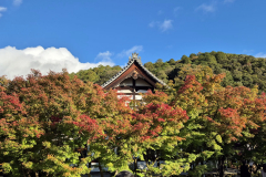 ret_IMG-20241118-WA0007