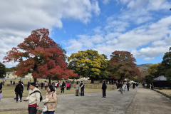 ret_IMG-20241119-WA0003