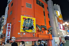 ret_IMG-20241119-WA0008