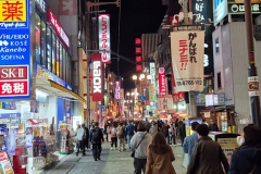 ret_IMG-20241119-WA0009