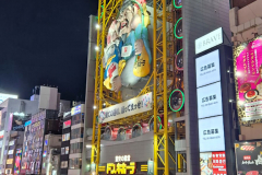 ret_IMG-20241119-WA0011