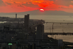 ret_IMG-20241121-WA0001