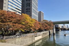 ret_IMG-20241121-WA0005