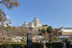 ret_IMG-20241122-WA0000