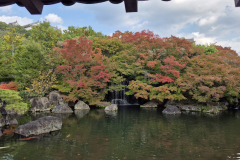 ret_IMG-20241122-WA0008