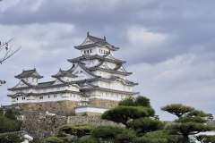 ret_IMG-20241122-WA0011