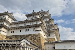 ret_IMG-20241122-WA0014