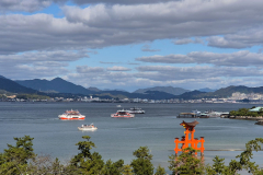 ret_IMG-20241124-WA0003