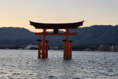 ret_IMG-20241124-WA0009