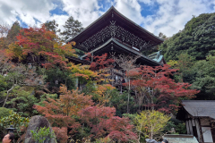 ret_IMG-20241124-WA0017