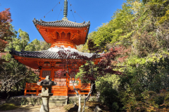 ret_IMG-20241125-WA0002