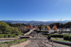 ret_IMG-20241125-WA0015