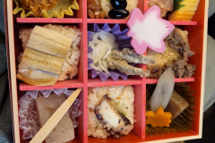 ret_IMG-20241126-WA0001