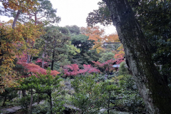 ret_IMG-20241127-WA0003