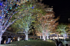 ret_IMG-20241127-WA0008