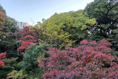 ret_IMG-20241127-WA0012