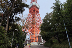 ret_IMG-20241127-WA0023