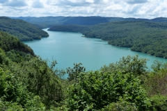 P1000990