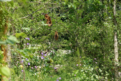 DSC00621