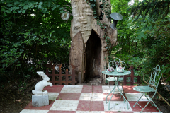 DSC00627