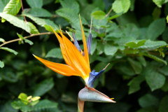 DSC00640