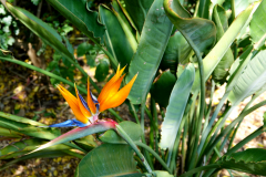 DSC00648