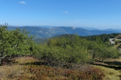 P1020681