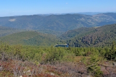 P1020682
