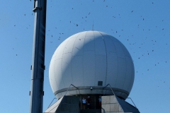 P1020684