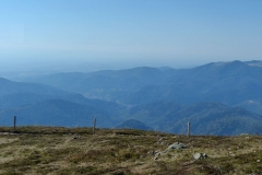 P1020685