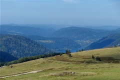 P1020688