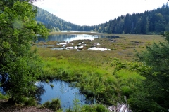 P1020693