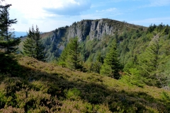 P1020694